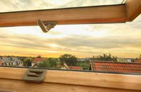 rated Damery roof window companies